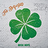 pochette Irish Hope